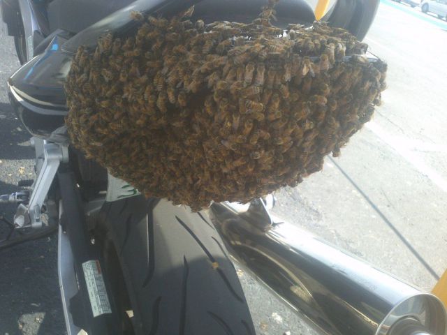 Yes It’s Crazy But It Really Happened!