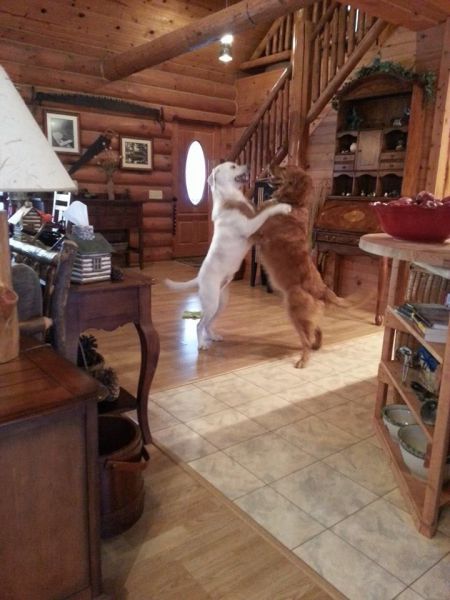 Morning Picdump