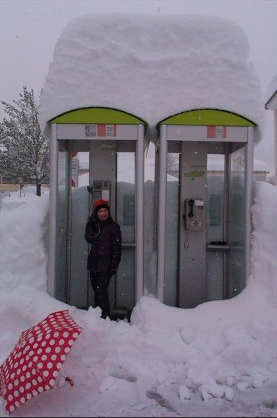 Morning Picdump