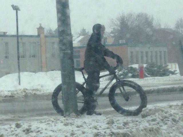 Morning Picdump
