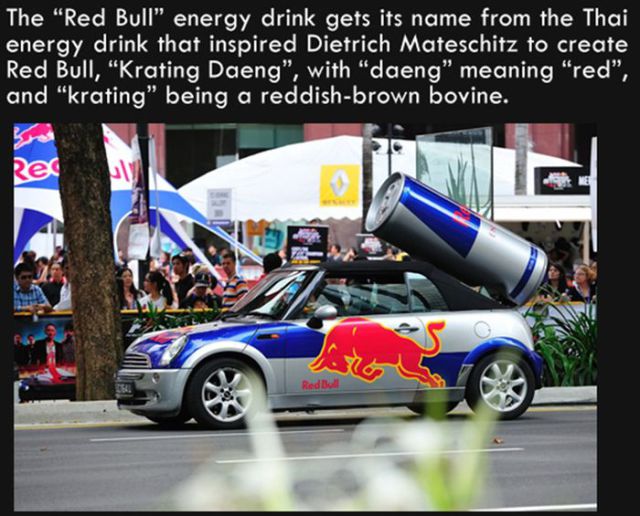 Silly Facts That Are Pretty Interesting