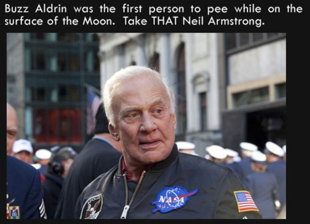 Silly Facts That Are Pretty Interesting