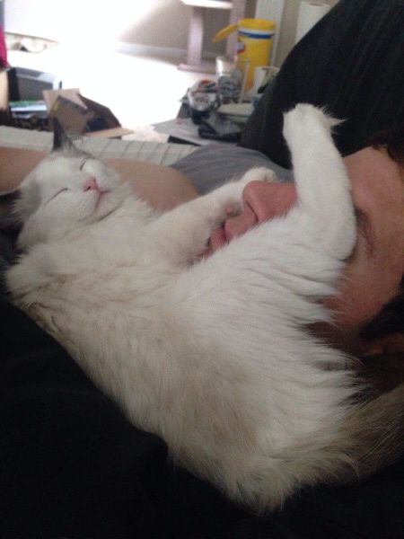 Morning Picdump