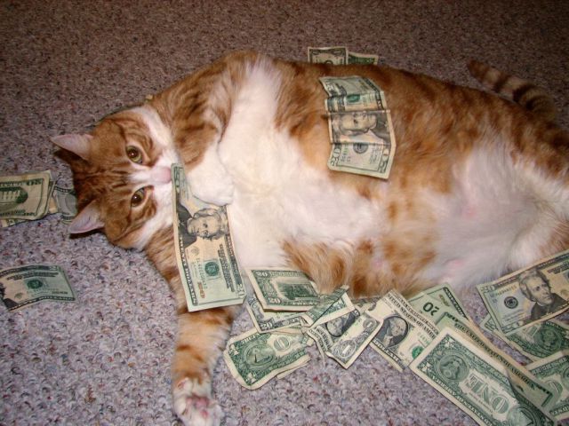 Morning Picdump