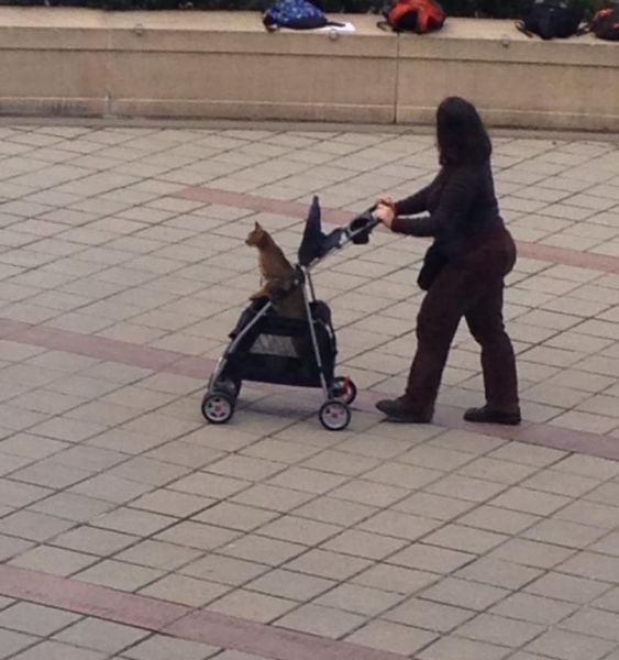 Daily Picdump