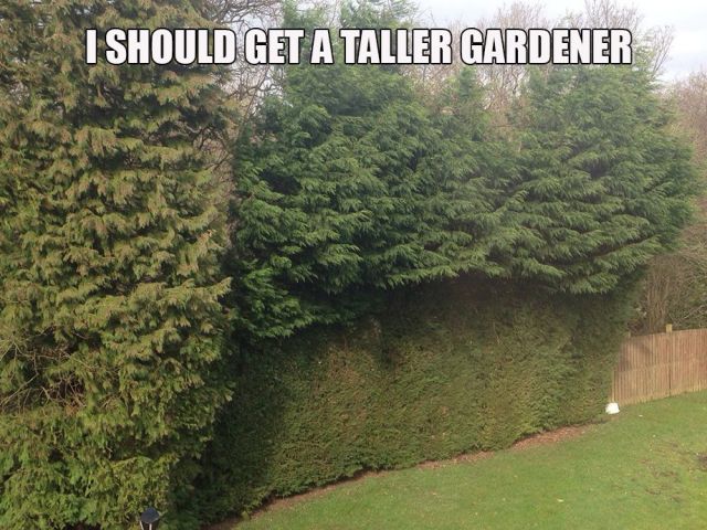 Daily Picdump [WEEKEND EDITION]