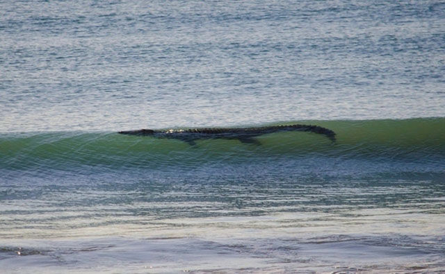 There Is Nothing Normal about Australia