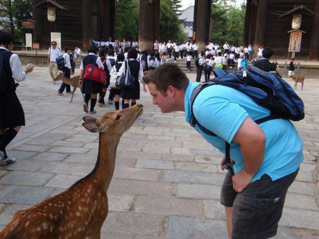 Morning Picdump