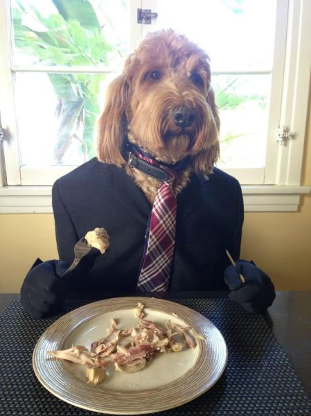 Morning Picdump