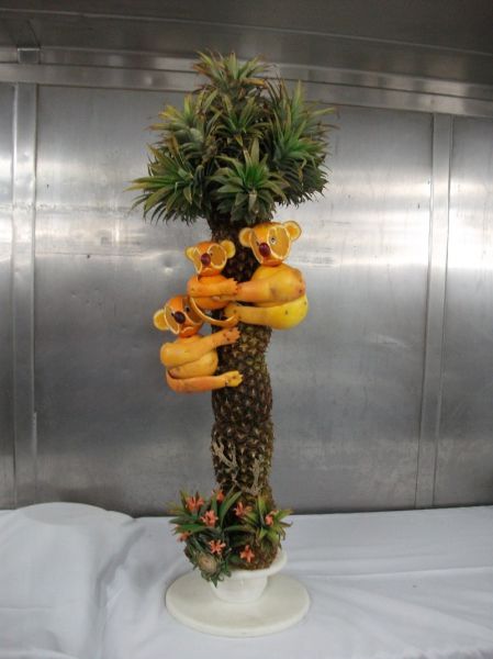 Morning Picdump