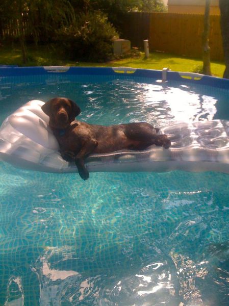 Morning Picdump