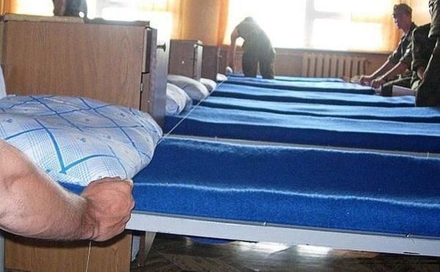 Morning Picdump