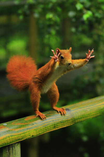 Brilliant Timing Creates Epic Photos