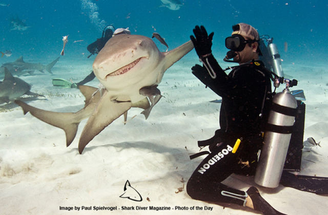 Brilliant Timing Creates Epic Photos