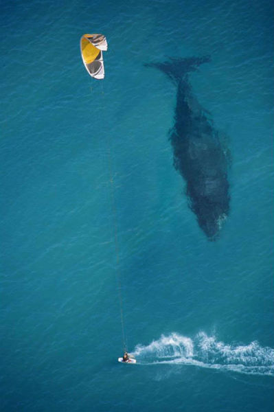 Brilliant Timing Creates Epic Photos
