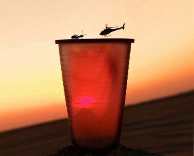Brilliant Timing Creates Epic Photos