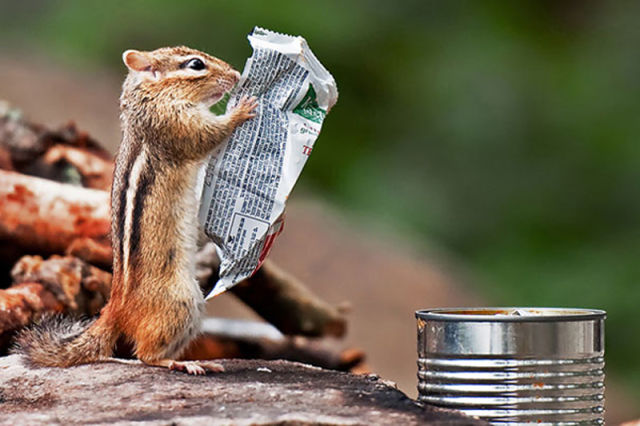 Brilliant Timing Creates Epic Photos