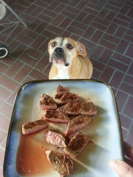 Morning Picdump