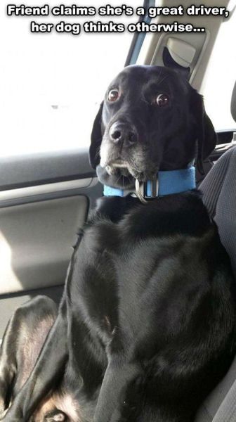 Morning Picdump