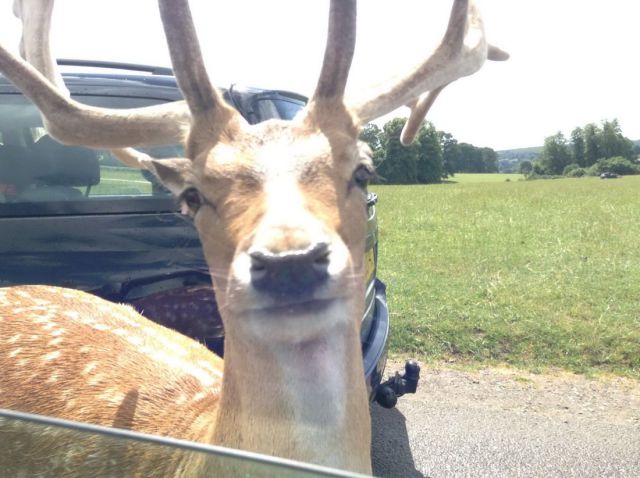Morning Picdump