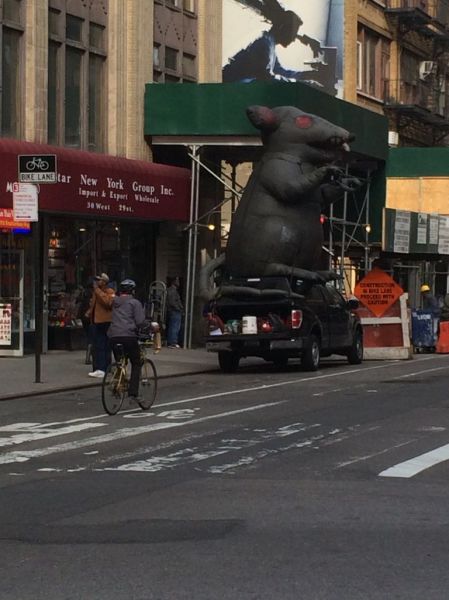 Morning Picdump
