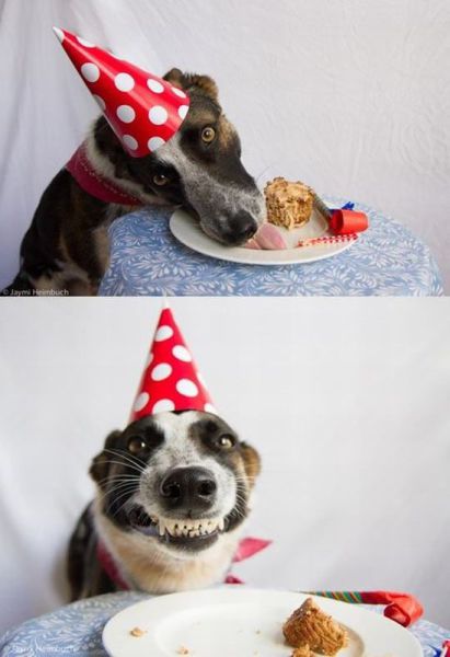 Morning Picdump