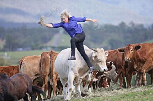 Morning Picdump