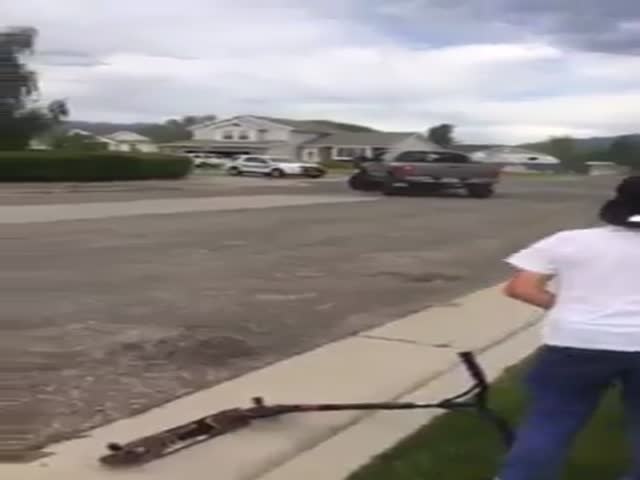 Pick-Up Driver Ends Dangerous Police Chase (1 pic + 1 video)