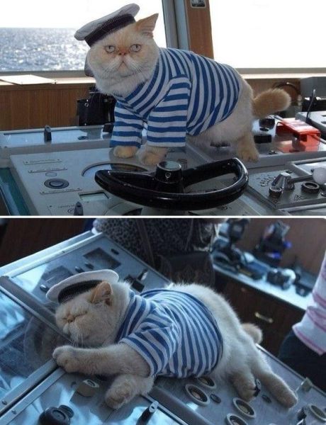 Morning Picdump
