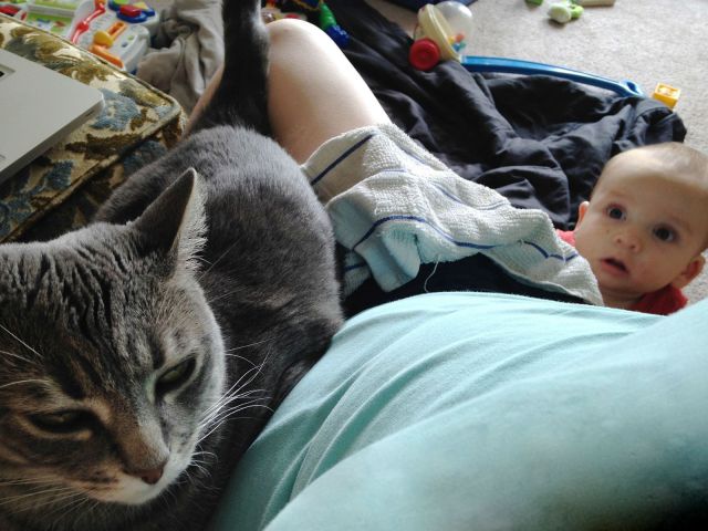 Morning Picdump