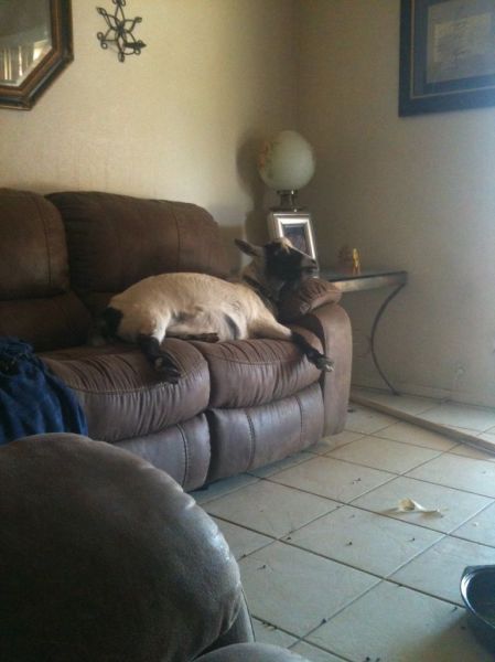 Morning Picdump