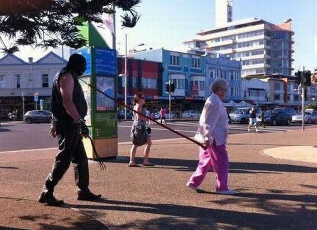 Daily Picdump