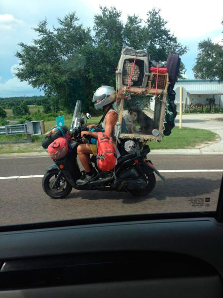 Morning Picdump