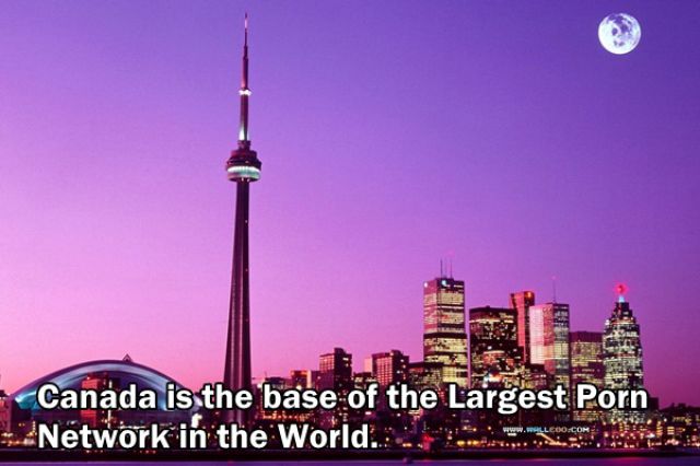 Trivia about the Adult Film Industry