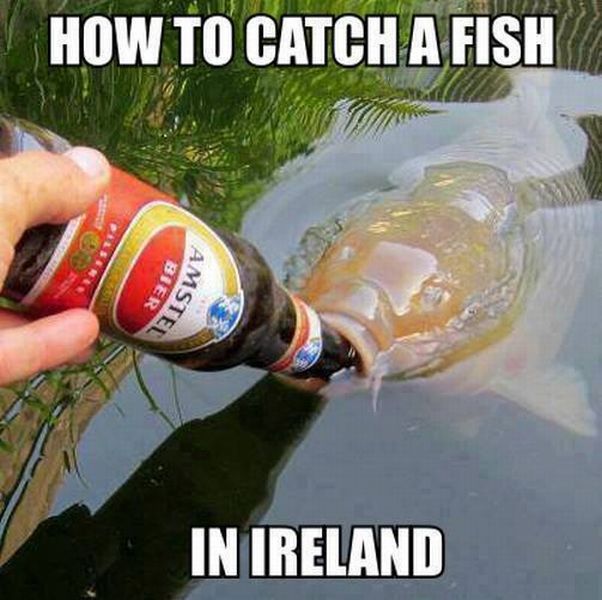 Daily Picdump [WEEKEND EDITION]