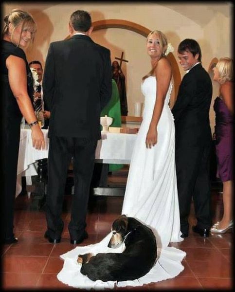 Daily Picdump [WEEKEND EDITION]