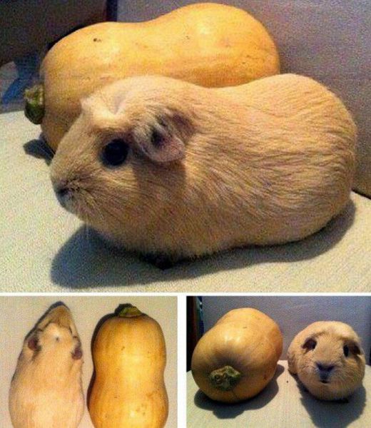 Daily Picdump [WEEKEND EDITION]