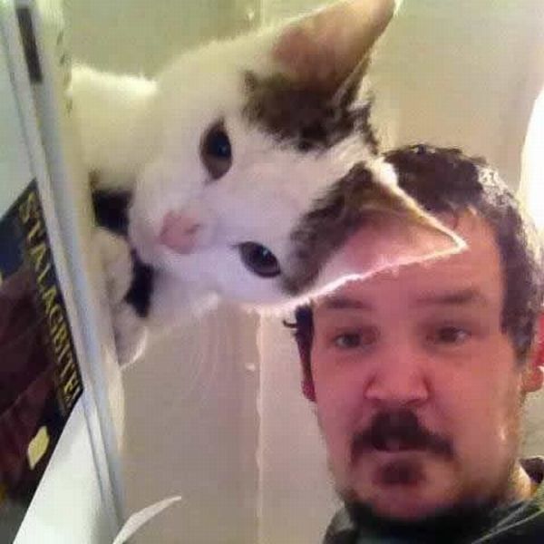 Angles Change the Way These Pictures Look