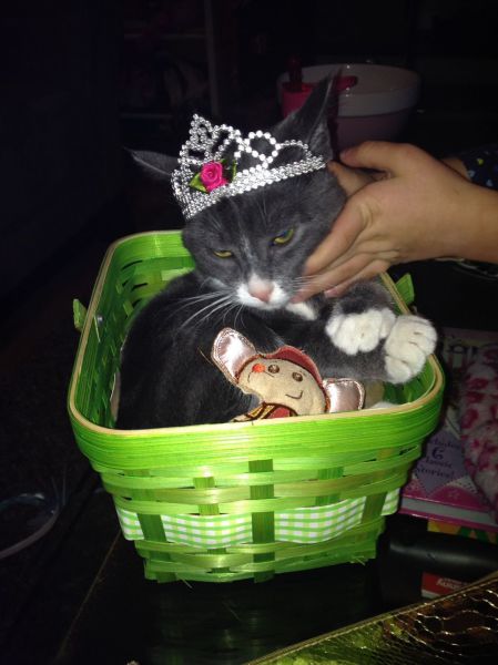 Morning Picdump