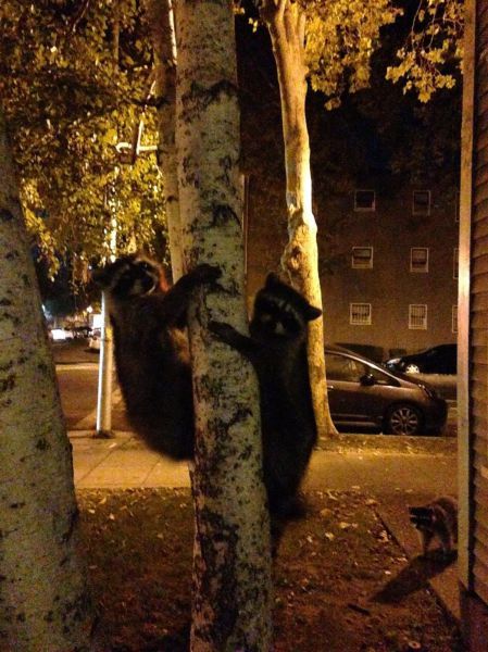 Morning Picdump