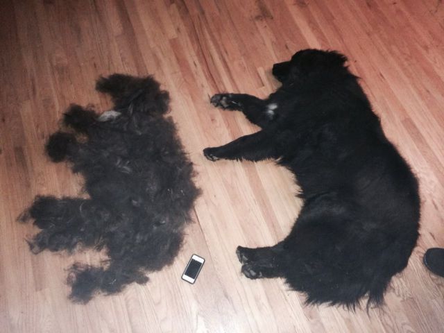Morning Picdump