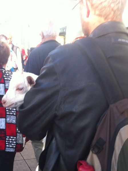 Morning Picdump