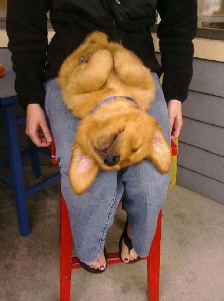 Morning Picdump