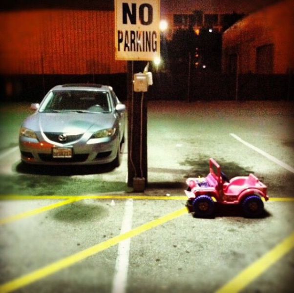 Morning Picdump