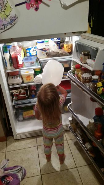 Morning Picdump