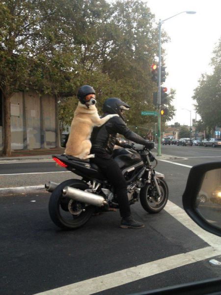 Morning Picdump