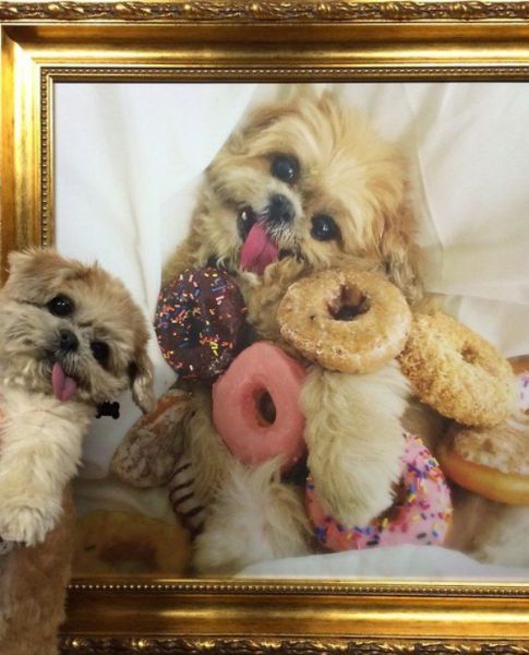 Morning Picdump