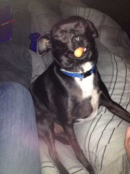 Morning Picdump