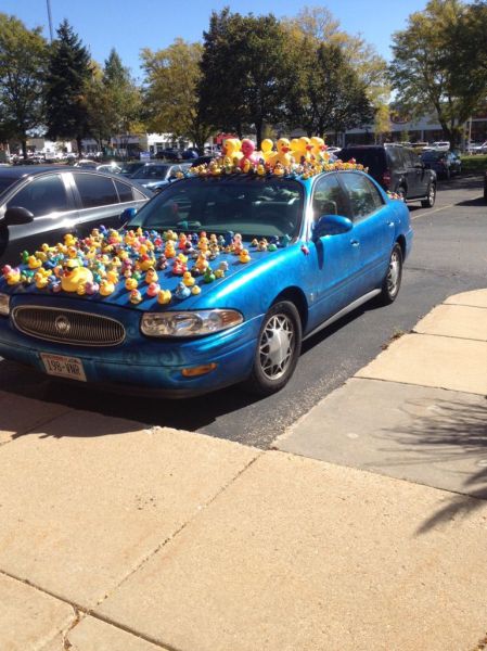 Morning Picdump
