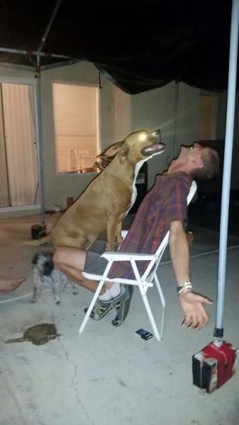 Morning Picdump